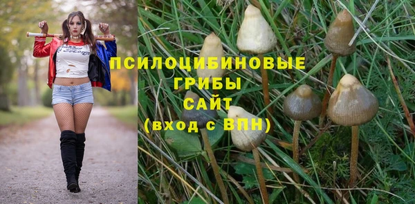 синтетический гашиш Саяногорск