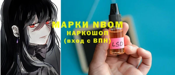 хмурый Сатка