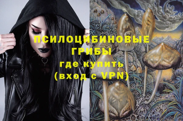 хмурый Сатка