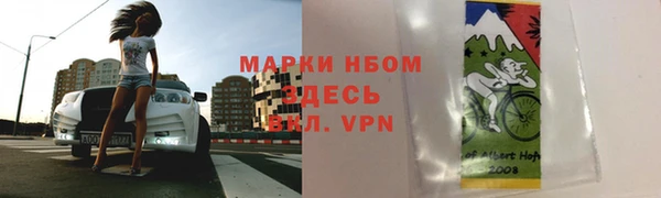 хмурый Сатка