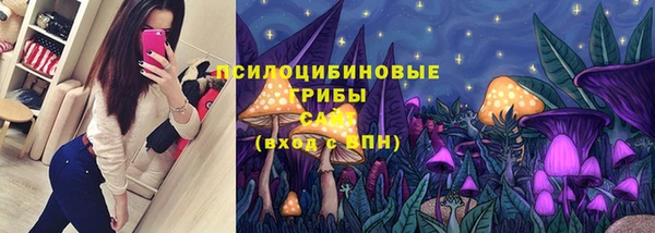 не бодяженный Россошь