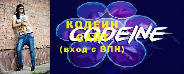 хмурый Сатка