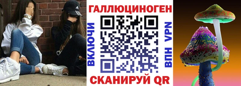 Купить где  Покров  Галлюциногенные грибы Psilocybe 